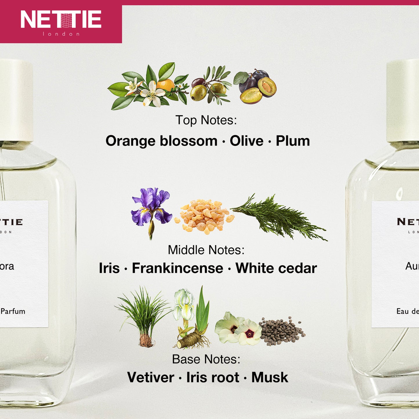 Nettie Origins: Aurora