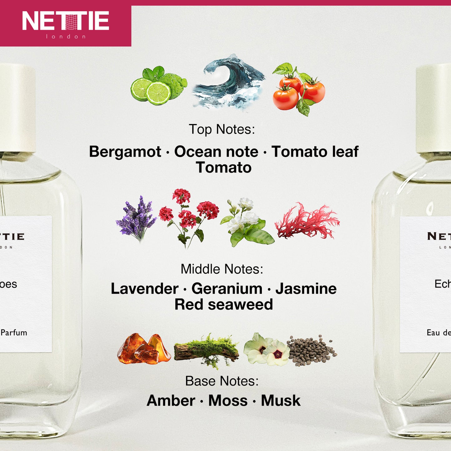 Nettie Origins: Echoes