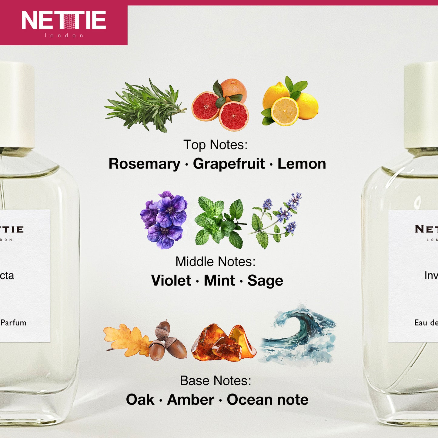 Nettie Origins: Invicta