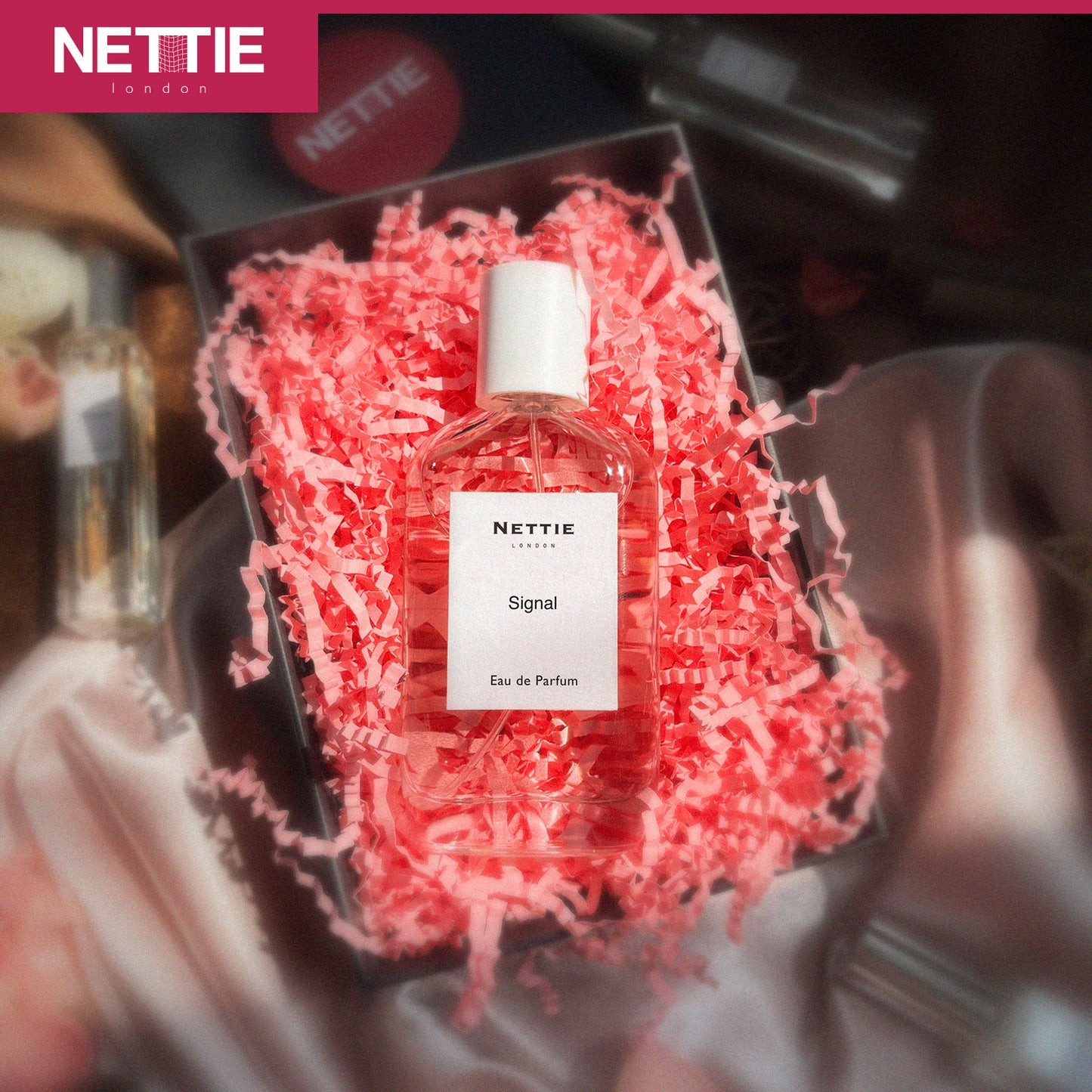 Nettie Origins: Signal