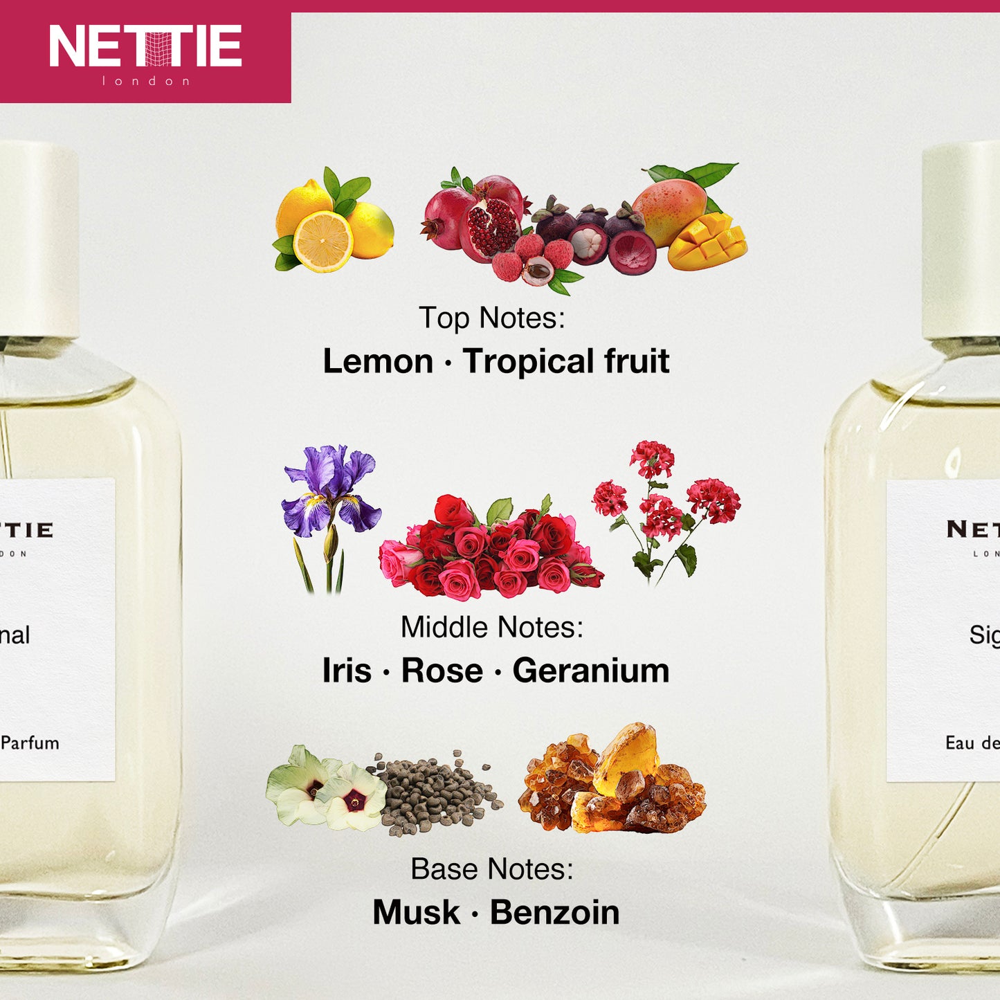 Nettie Origins: Signal