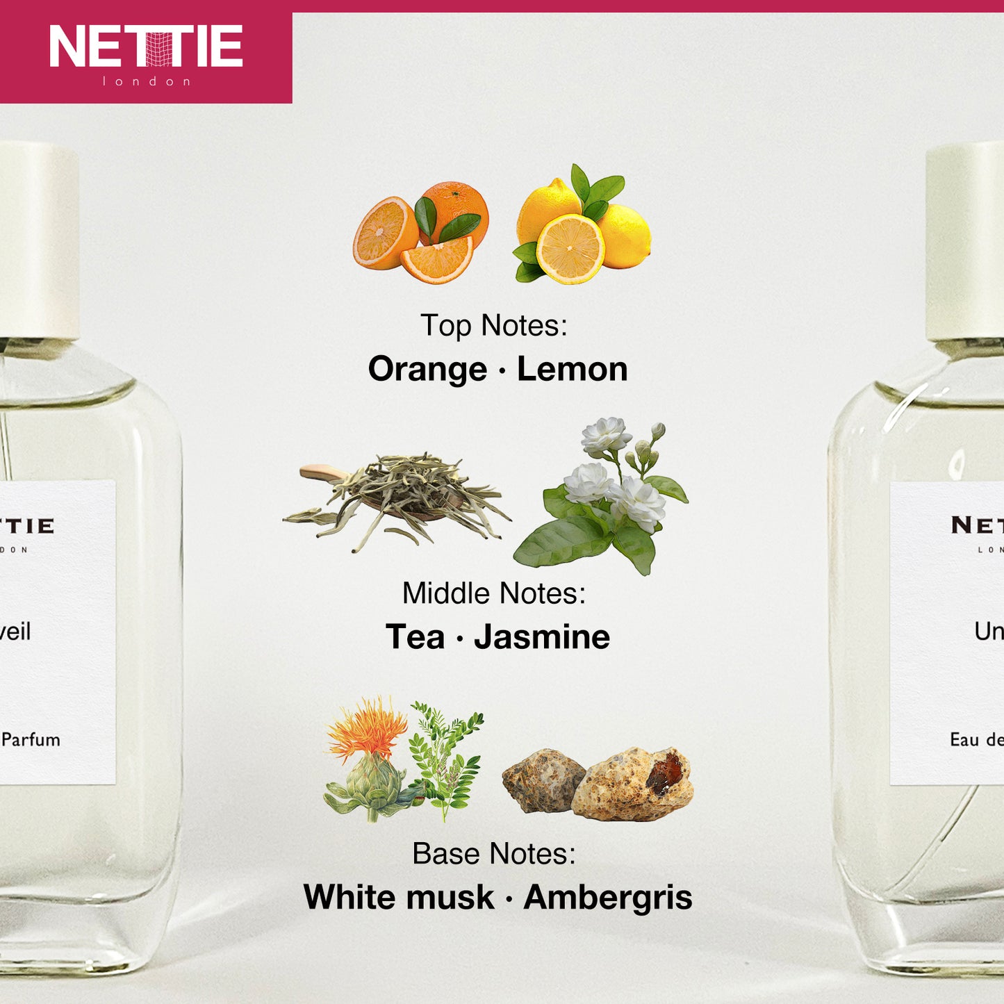 Nettie Origins: Unveil