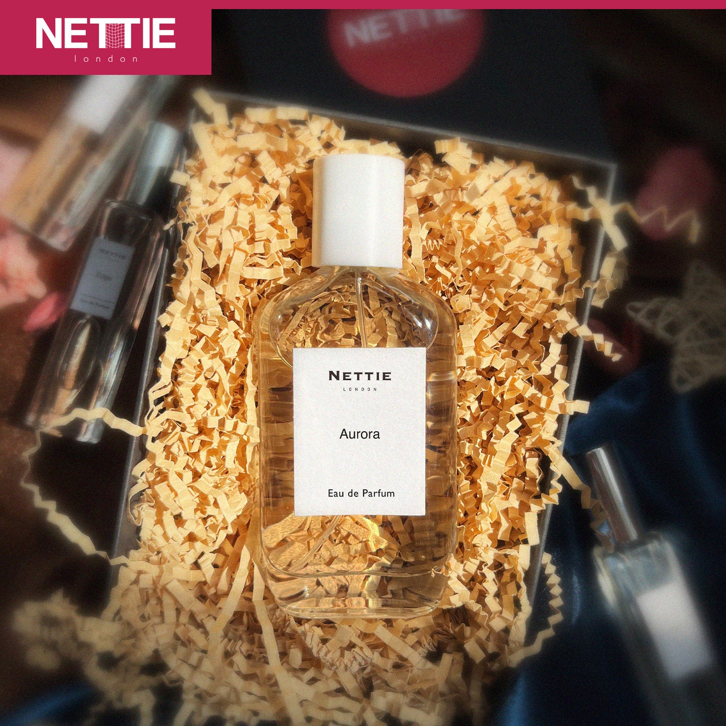 Nettie Origins: Aurora