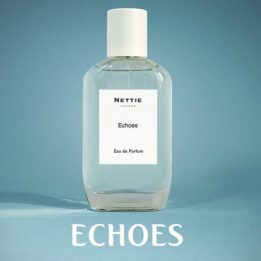 Nettie Origins: Echoes