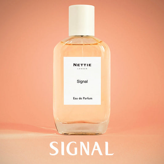 Nettie Origins: Signal